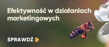 Efektywność w działaniach marketingowych