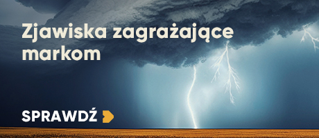 Decyzje budżetowe marketerów #opiniejuroraeffie cz. 4/2024