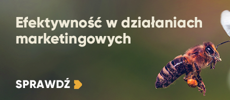 Efektywność w działaniach marketingowych